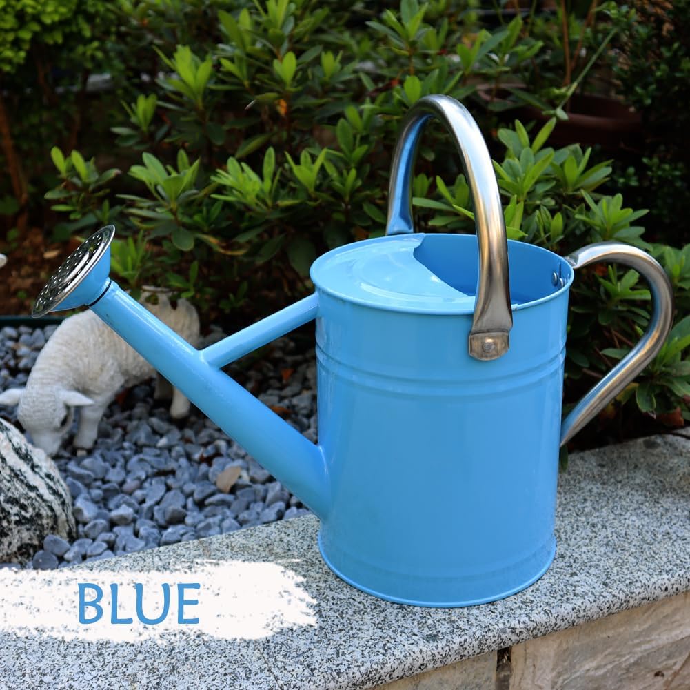 Metal Watering Can 1 Gallon for Outdoor Garden Plants, Green
