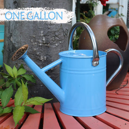 Metal Watering Can 1 Gallon for Outdoor Garden Plants, Green