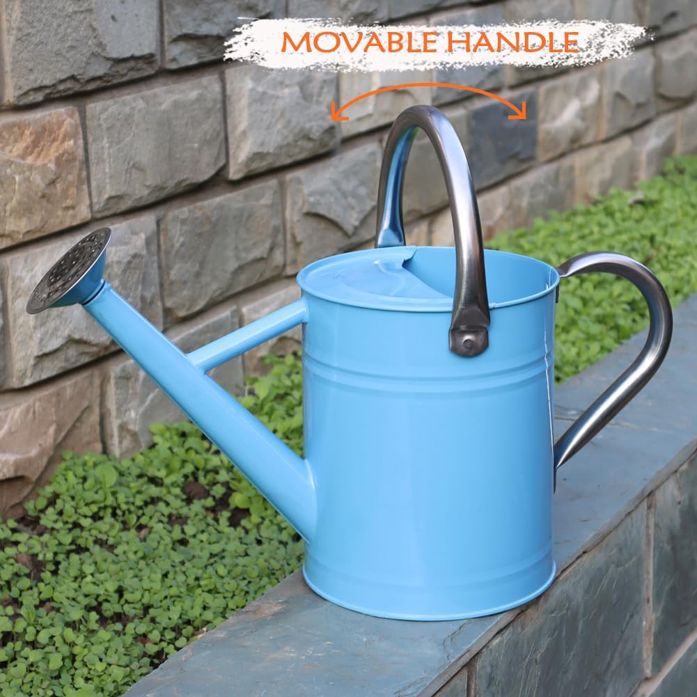 Metal Watering Can 1 Gallon for Outdoor Garden Plants, Green
