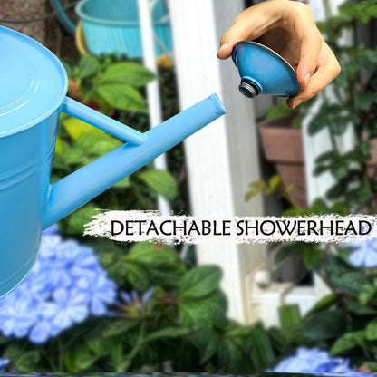 Metal Watering Can 1 Gallon for Outdoor Garden Plants, Green