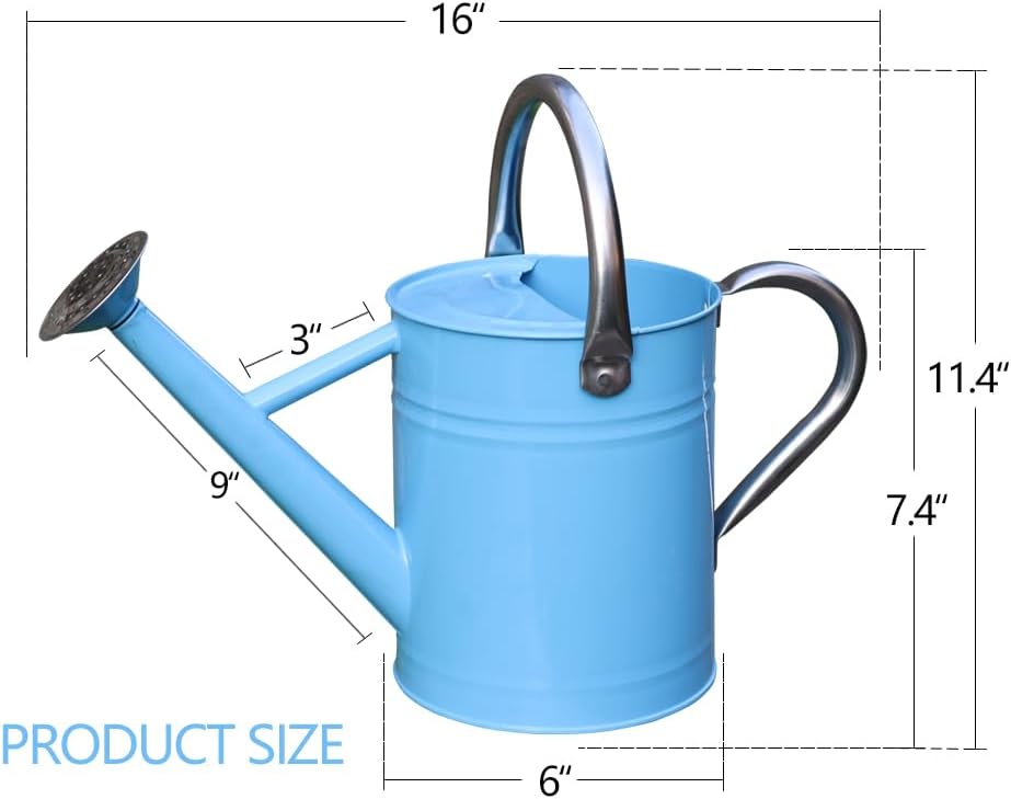 Metal Watering Can 1 Gallon for Outdoor Garden Plants, Green