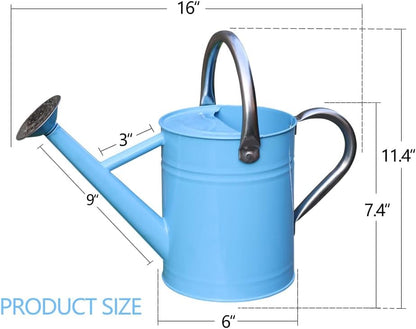 Metal Watering Can 1 Gallon for Outdoor Garden Plants, Green