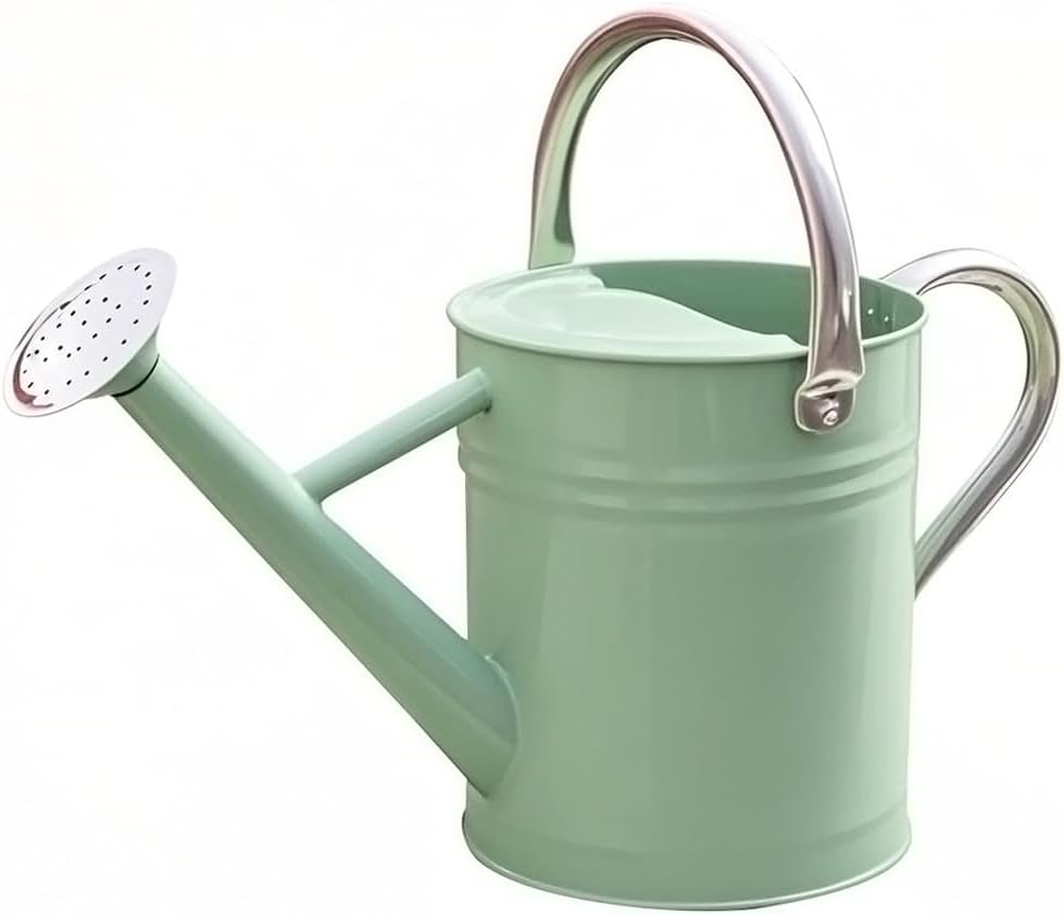 Metal Watering Can 1 Gallon for Outdoor Garden Plants, Green