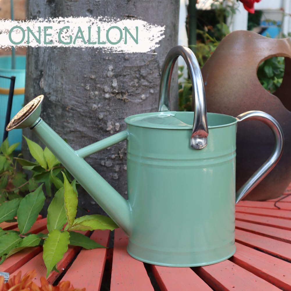Metal Watering Can 1 Gallon for Outdoor Garden Plants, Green