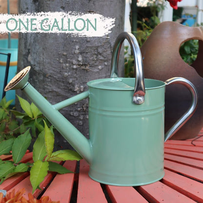 Metal Watering Can 1 Gallon for Outdoor Garden Plants, Green