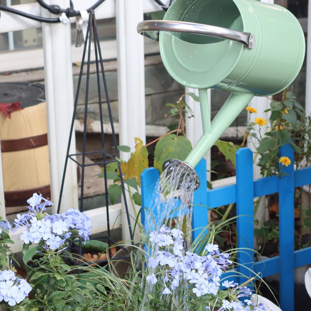 Metal Watering Can 1 Gallon for Outdoor Garden Plants, Green