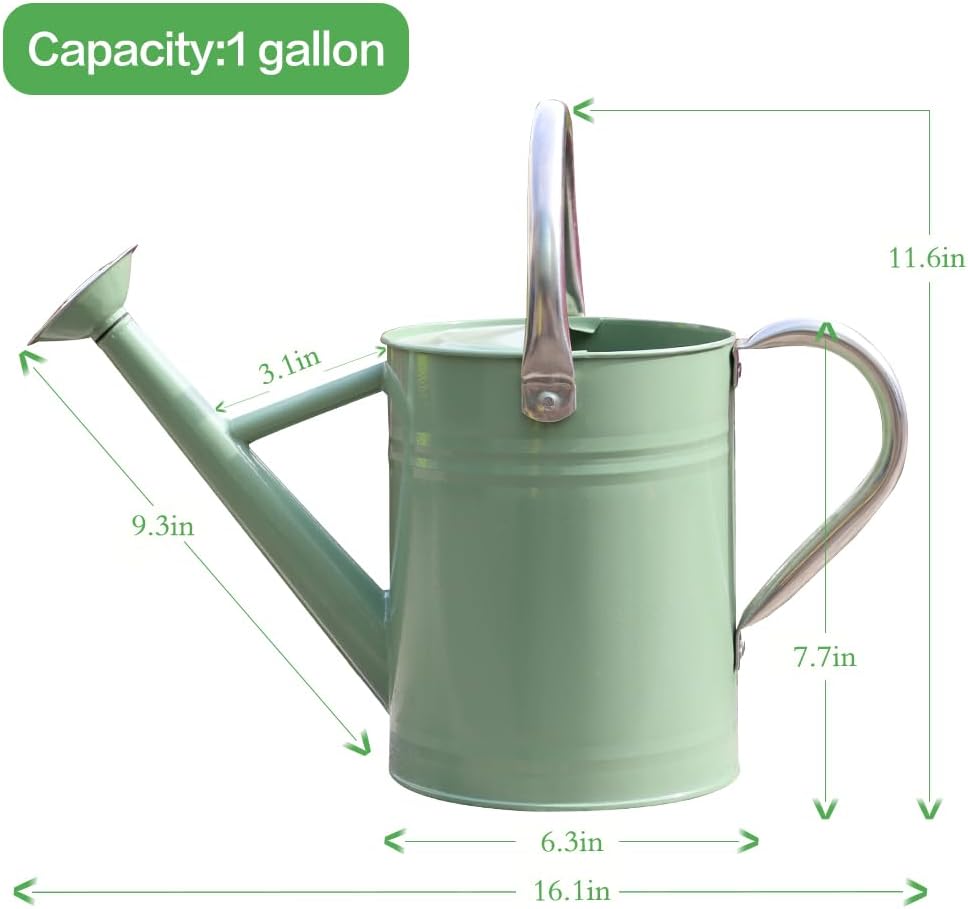 Metal Watering Can 1 Gallon for Outdoor Garden Plants, Green