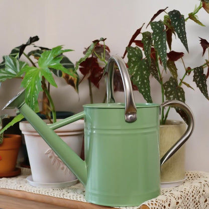 Metal Watering Can 1 Gallon for Outdoor Garden Plants, Green