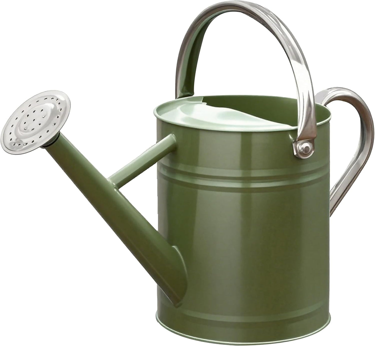 Metal Watering Can 1 Gallon for Outdoor Garden Plants, Green