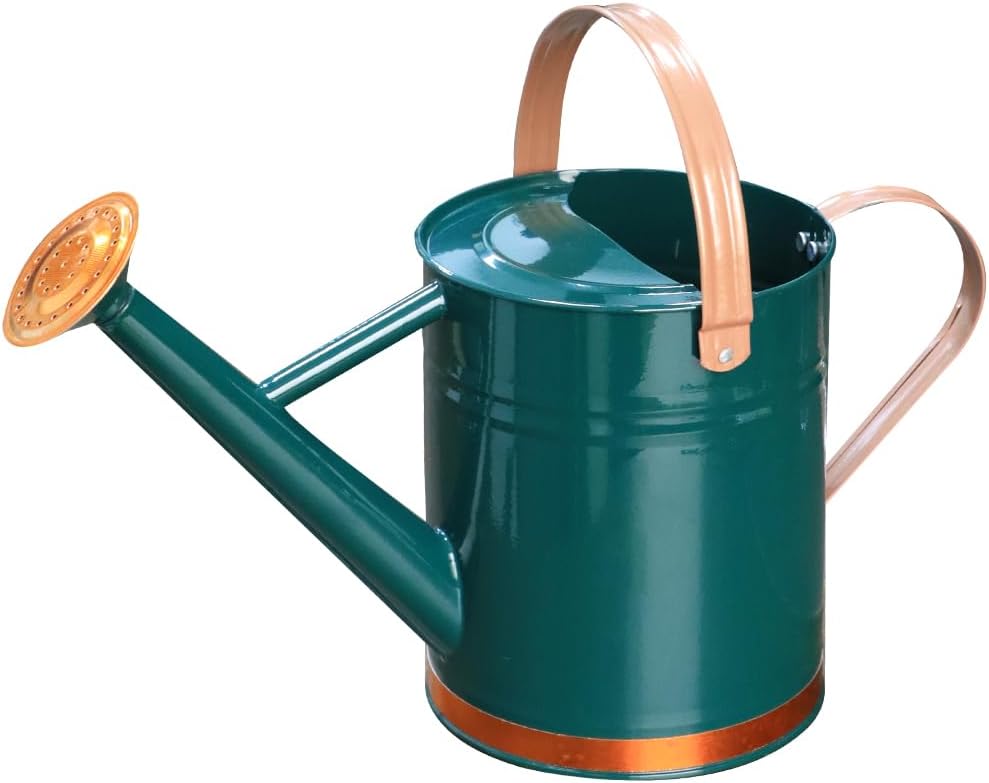 Metal Watering Can 1 Gallon for Outdoor Garden Plants, Green