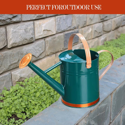 Metal Watering Can 1 Gallon for Outdoor Garden Plants, Green