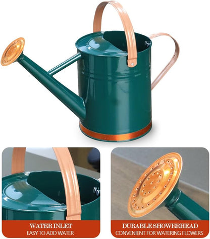 Metal Watering Can 1 Gallon for Outdoor Garden Plants, Green