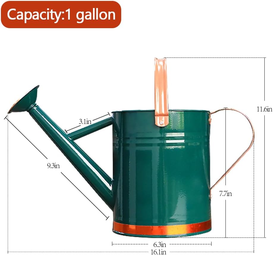 Metal Watering Can 1 Gallon for Outdoor Garden Plants, Green