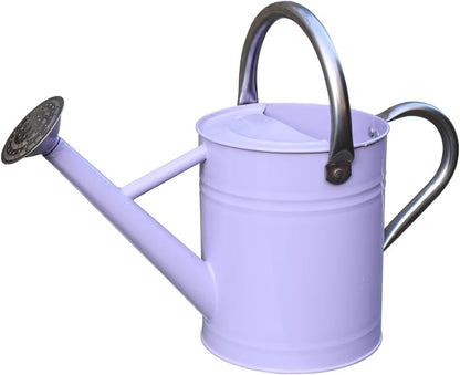 Metal Watering Can 1 Gallon for Outdoor Garden Plants, Green