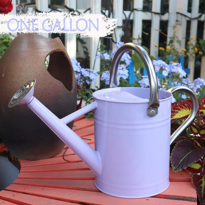 Metal Watering Can 1 Gallon for Outdoor Garden Plants, Green