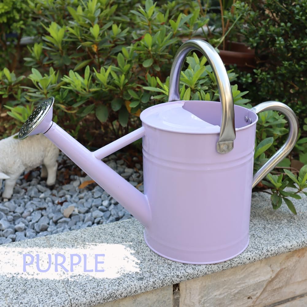 Metal Watering Can 1 Gallon for Outdoor Garden Plants, Green