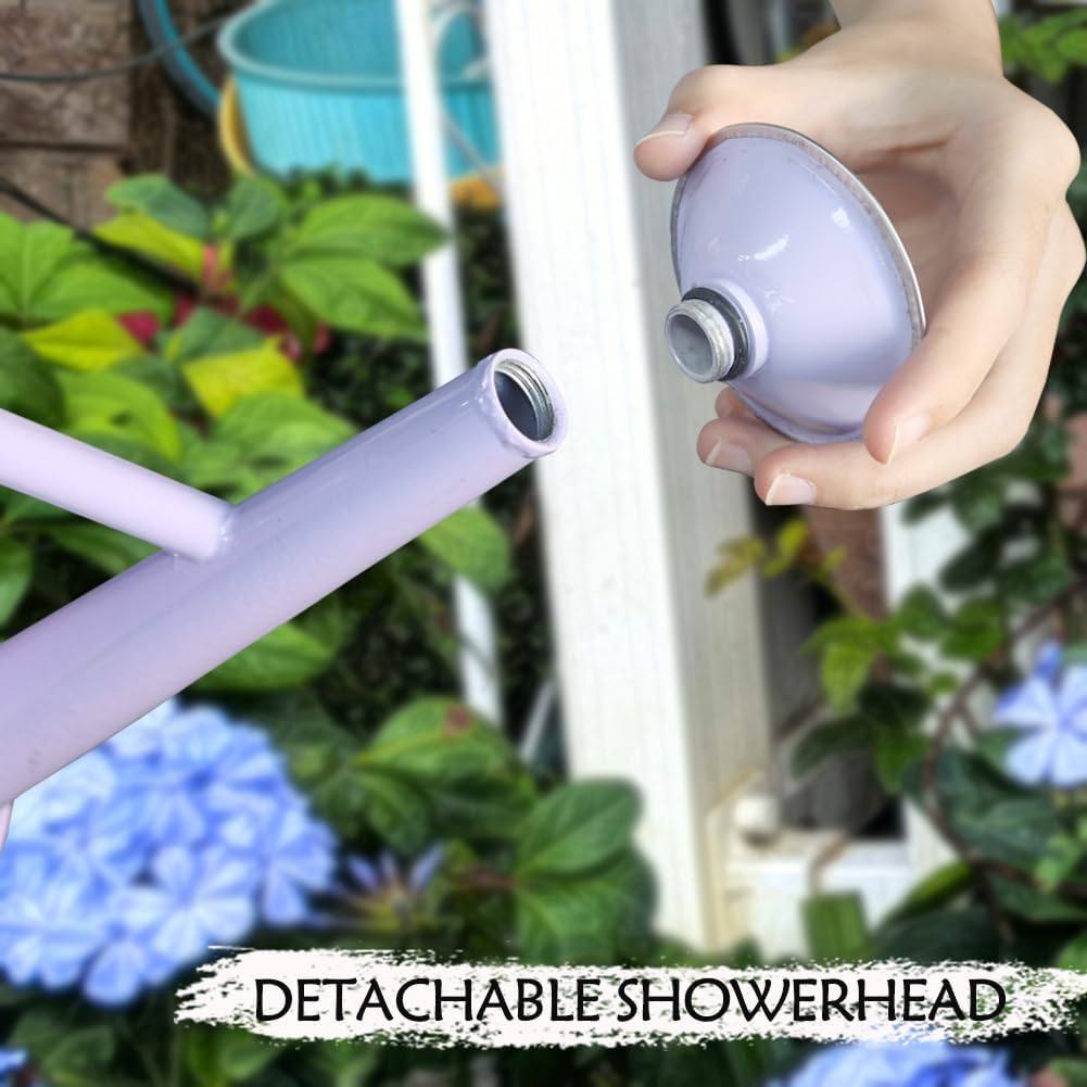 Metal Watering Can 1 Gallon for Outdoor Garden Plants, Green