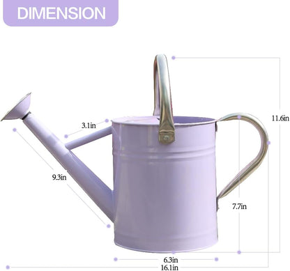 Metal Watering Can 1 Gallon for Outdoor Garden Plants, Green