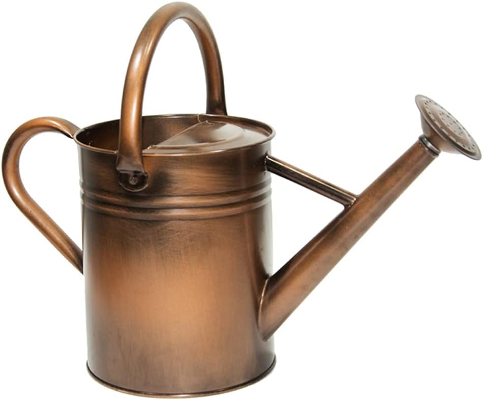 Metal Watering Can 1 Gallon for Outdoor Garden Plants, Green