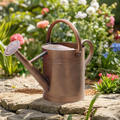 Metal Watering Can 1 Gallon for Outdoor Garden Plants, Green