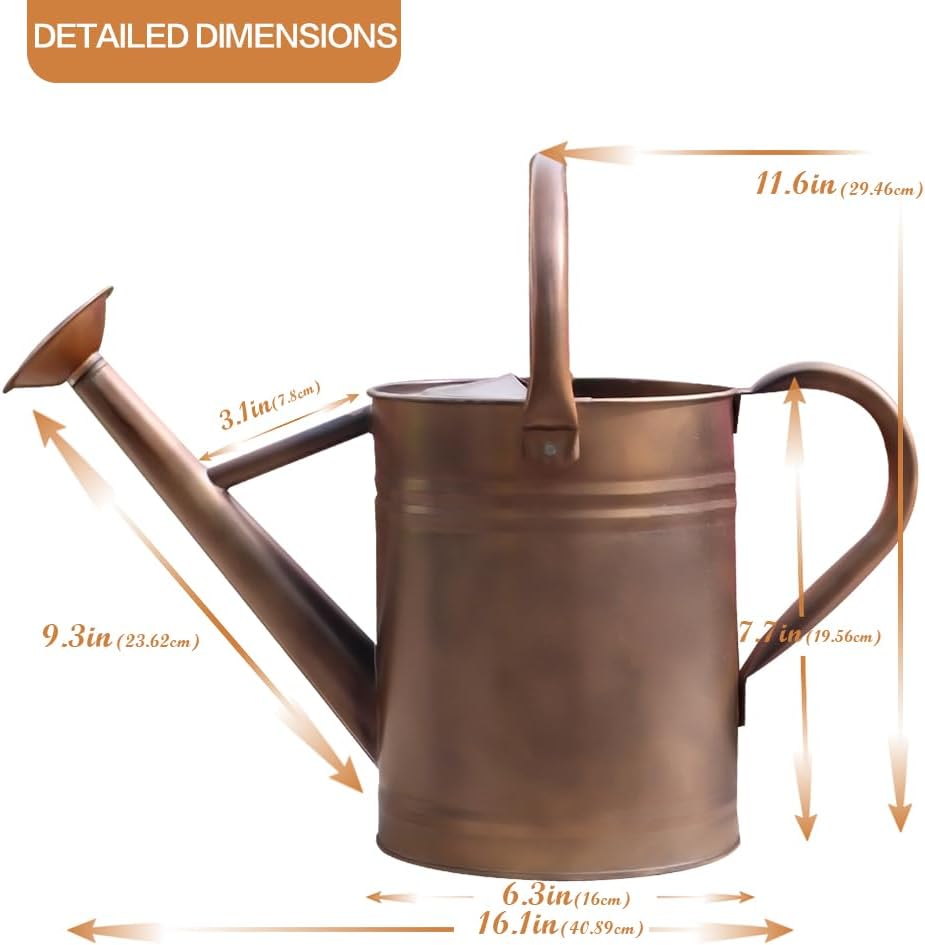 Metal Watering Can 1 Gallon for Outdoor Garden Plants, Green