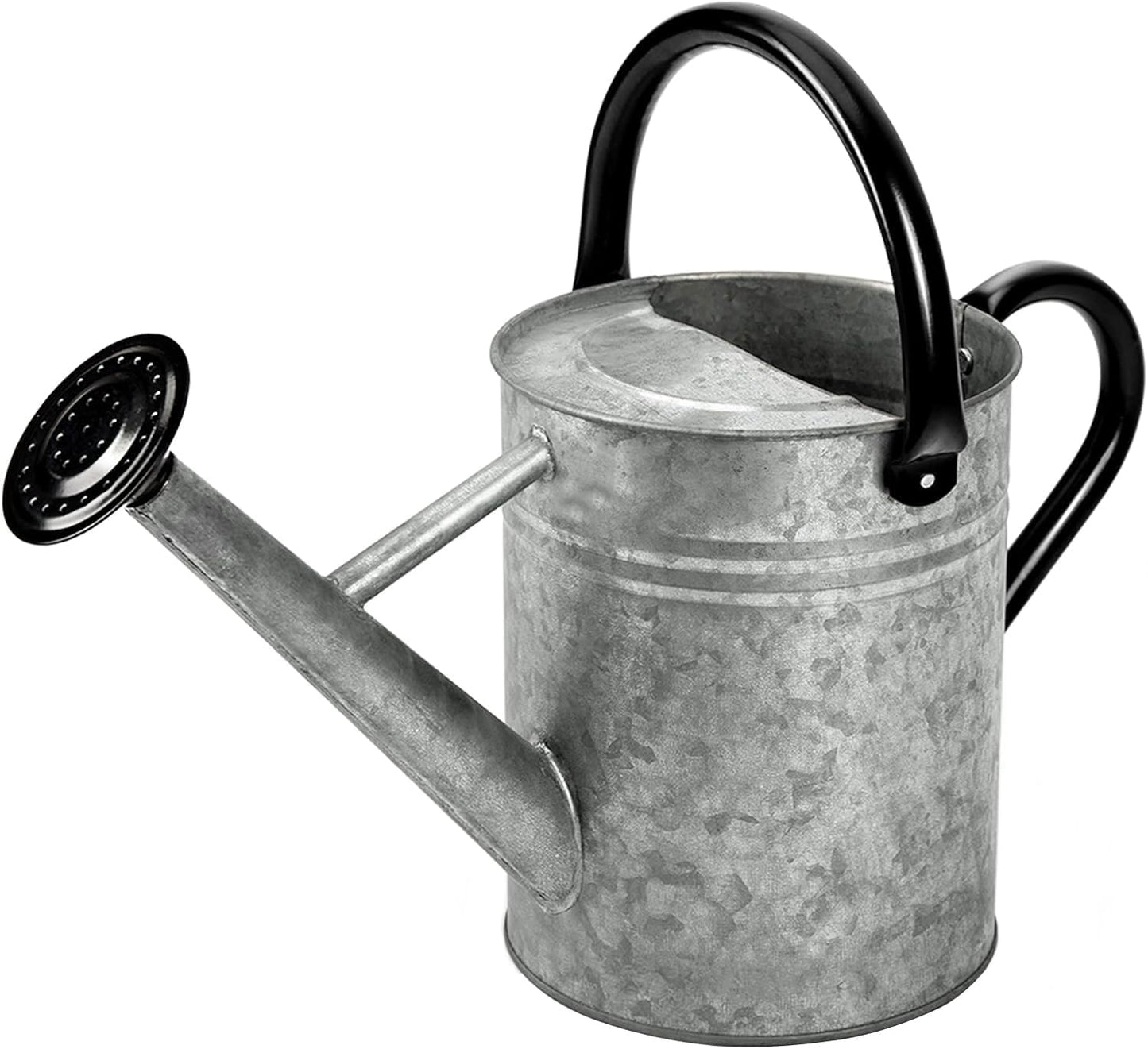 Metal Watering Can 1 Gallon for Outdoor Garden Plants, Green