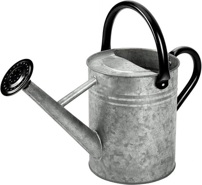 Metal Watering Can 1 Gallon for Outdoor Garden Plants, Green