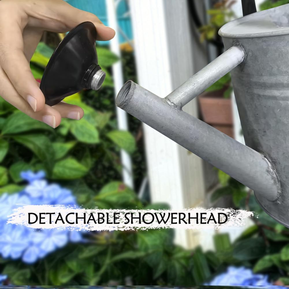 Metal Watering Can 1 Gallon for Outdoor Garden Plants, Green