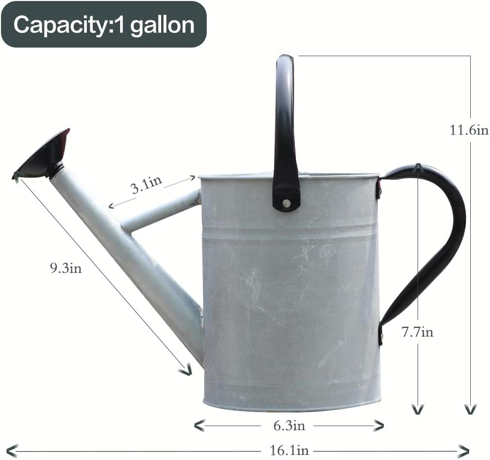 Metal Watering Can 1 Gallon for Outdoor Garden Plants, Green