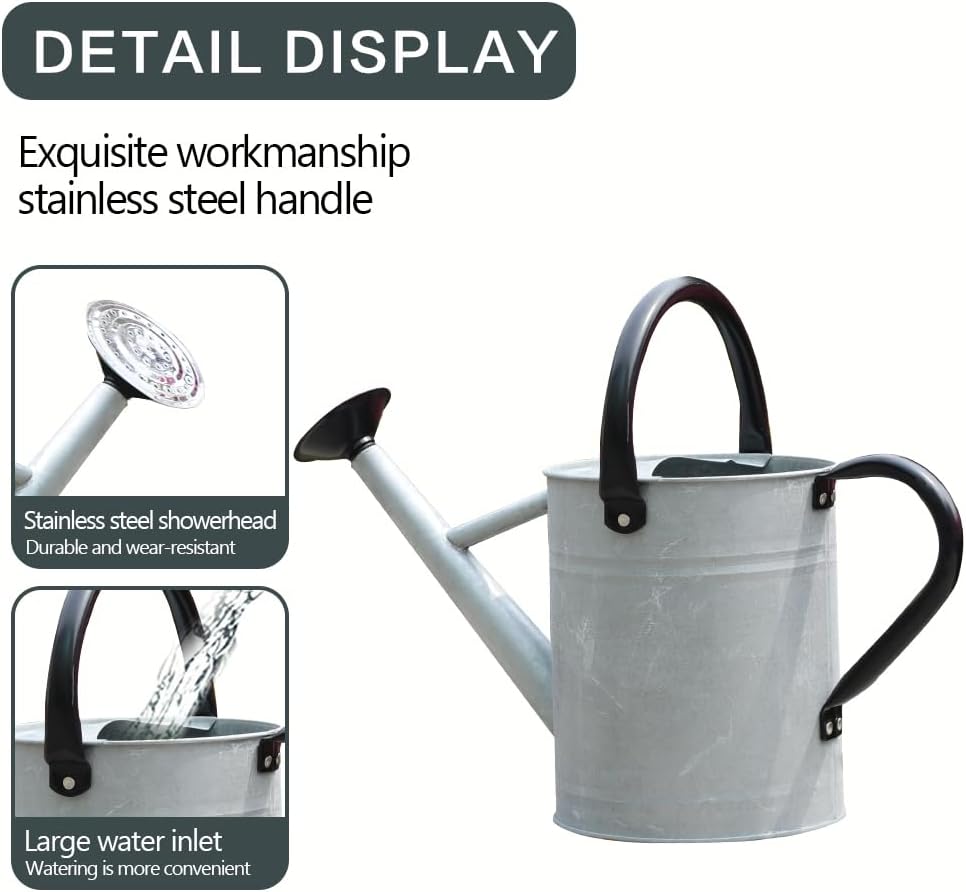 Metal Watering Can 1 Gallon for Outdoor Garden Plants, Green