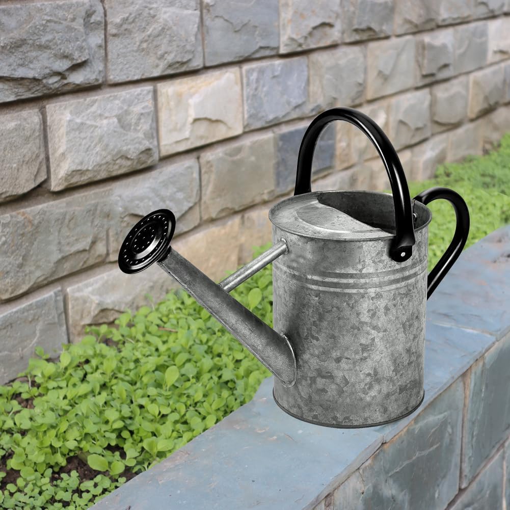 Metal Watering Can 1 Gallon for Outdoor Garden Plants, Green
