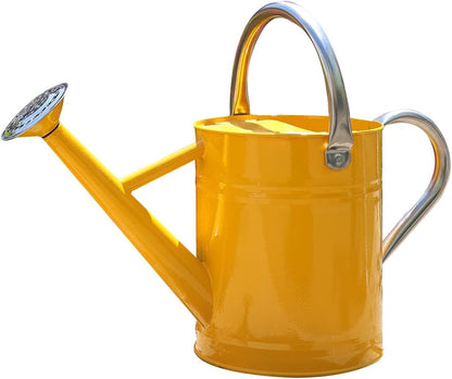 Metal Watering Can 1 Gallon for Outdoor Garden Plants, Green