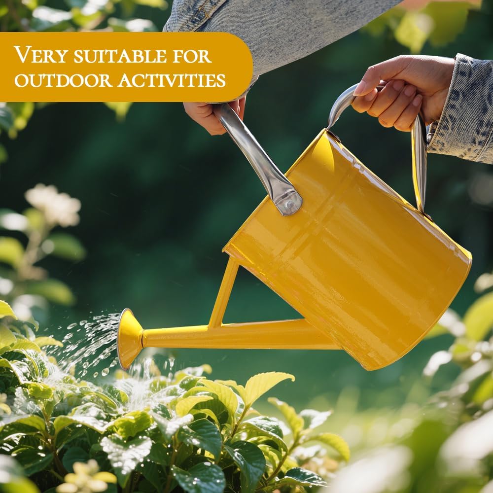 Metal Watering Can 1 Gallon for Outdoor Garden Plants, Green