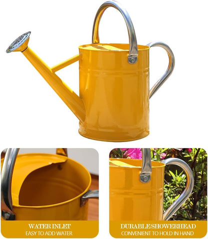 Metal Watering Can 1 Gallon for Outdoor Garden Plants, Green