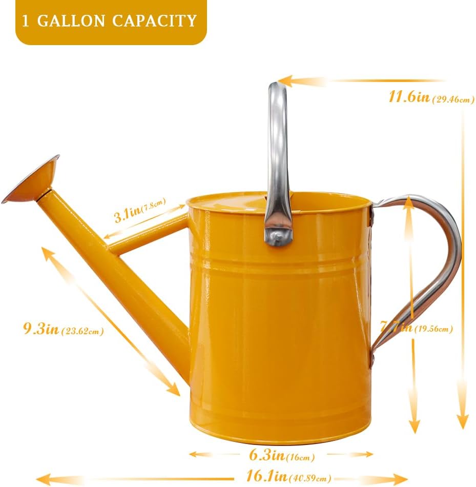 Metal Watering Can 1 Gallon for Outdoor Garden Plants, Green