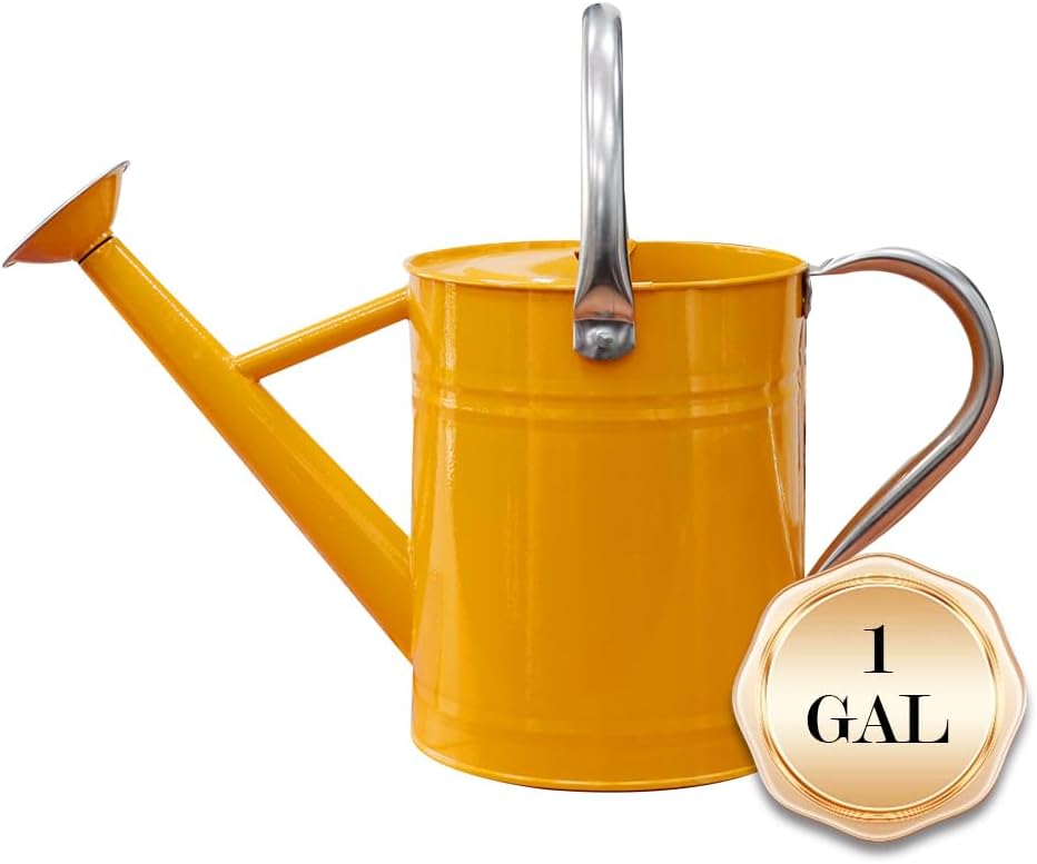 Metal Watering Can 1 Gallon for Outdoor Garden Plants, Green