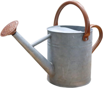 Metal Watering Can 1 Gallon for Outdoor Garden Plants, Green