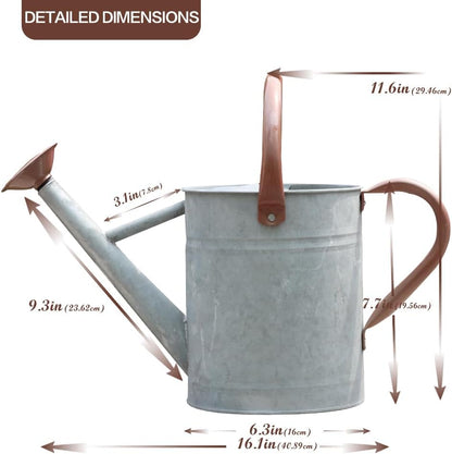 Metal Watering Can 1 Gallon for Outdoor Garden Plants, Green