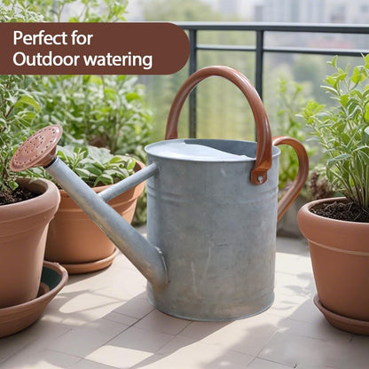 Metal Watering Can 1 Gallon for Outdoor Garden Plants, Green