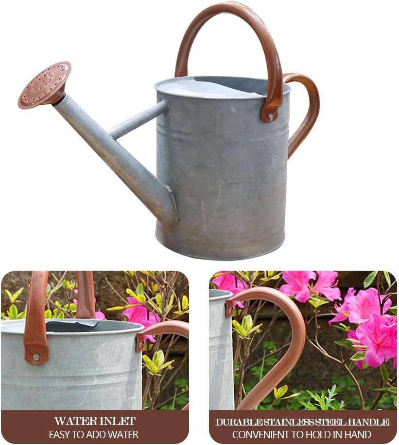 Metal Watering Can 1 Gallon for Outdoor Garden Plants, Green