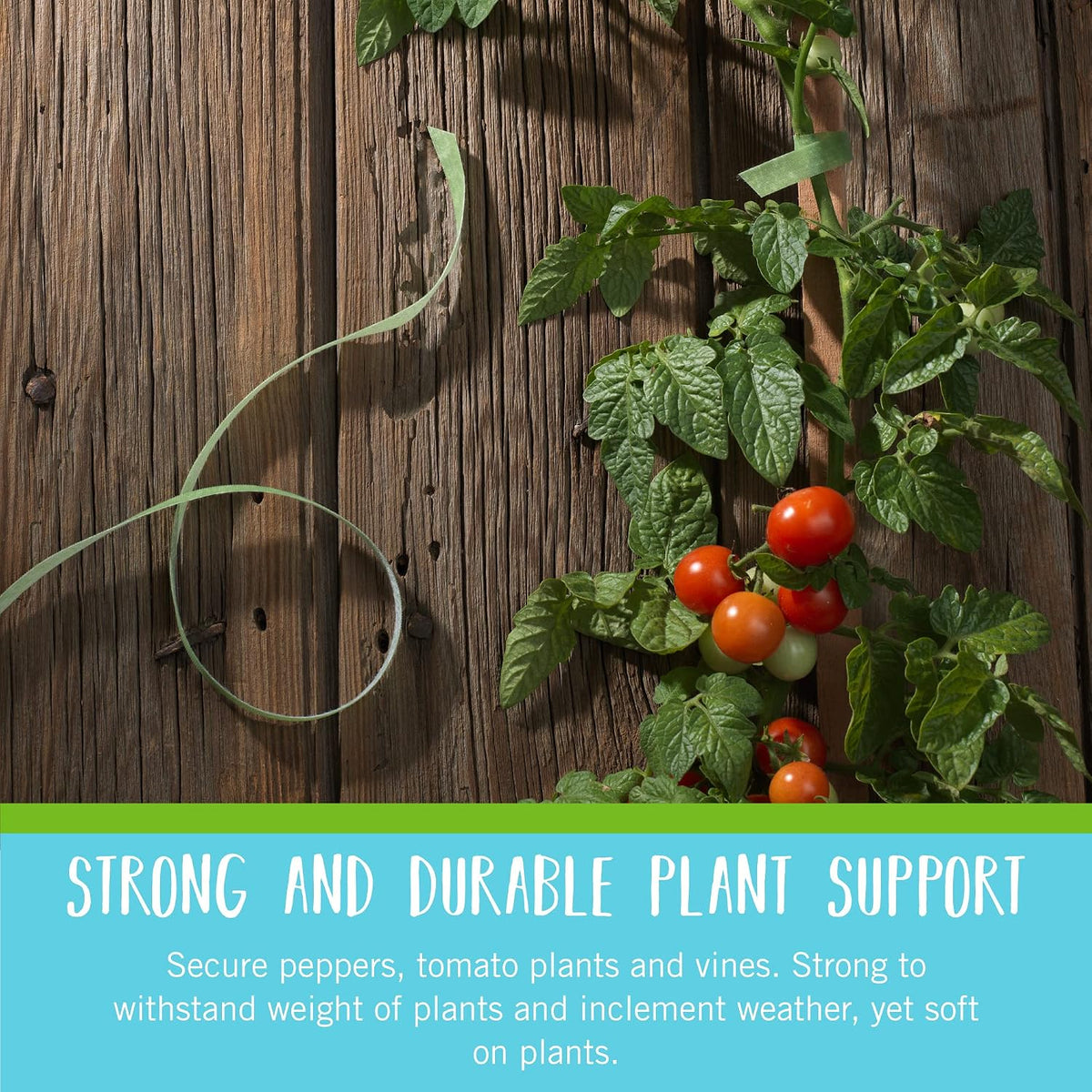 VEL-30071-USA ONE-WRAP Garden Ties | Plant Supports for Effective Growing | Strong Grips are Reusable and Adjustable | Cut-to-Length, 50 ft x 1/2 in, Green-Recycled Plastic