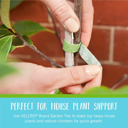 VEL-30071-USA ONE-WRAP Garden Ties | Plant Supports for Effective Growing | Strong Grips are Reusable and Adjustable | Cut-to-Length, 50 ft x 1/2 in, Green-Recycled Plastic