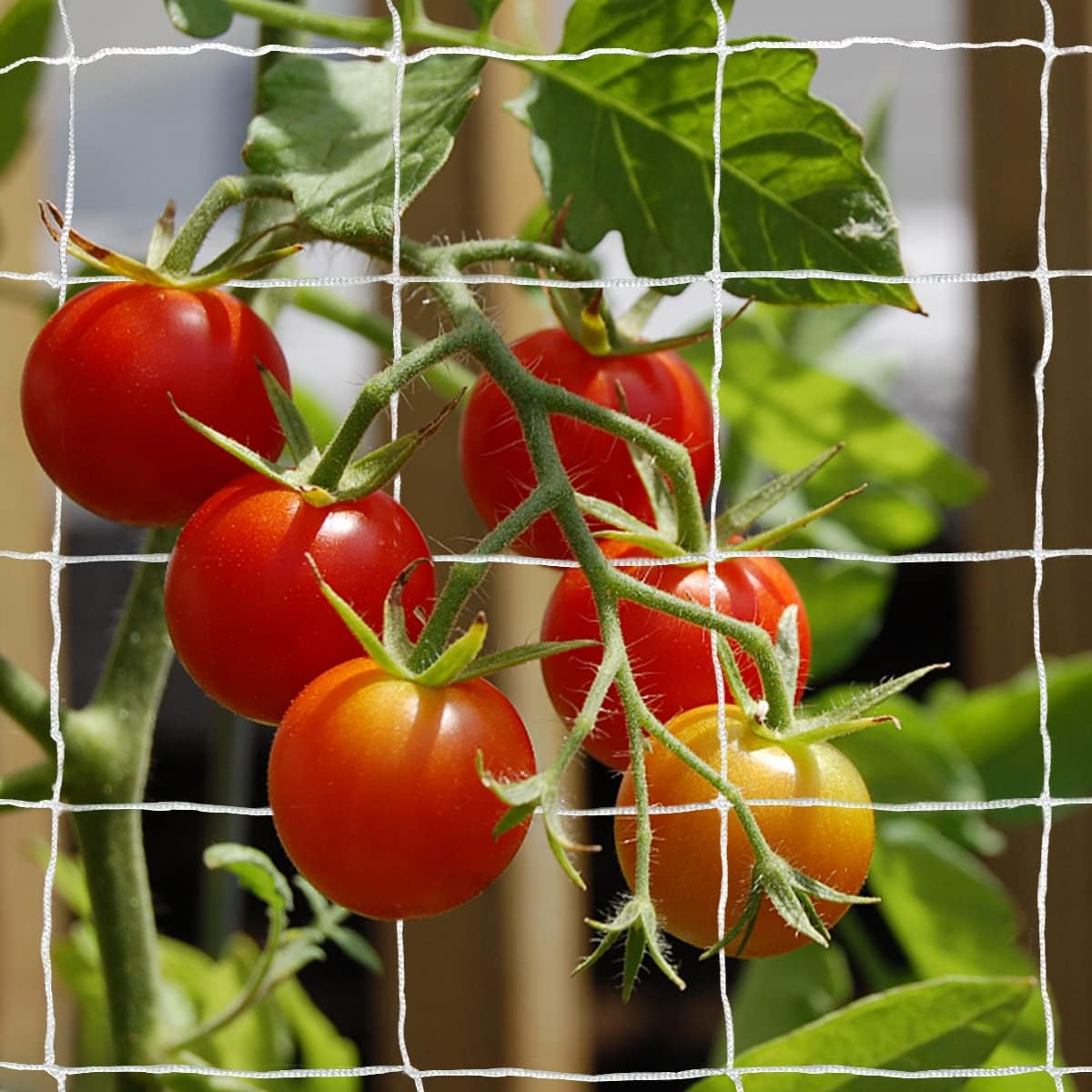 Heavy-Duty Polyester Garden Trellis Netting, 5Ft x15Ft (1 Pack)