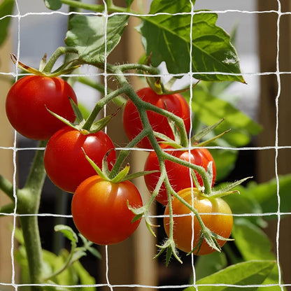 Heavy-Duty Polyester Garden Trellis Netting, 5Ft x15Ft (1 Pack)