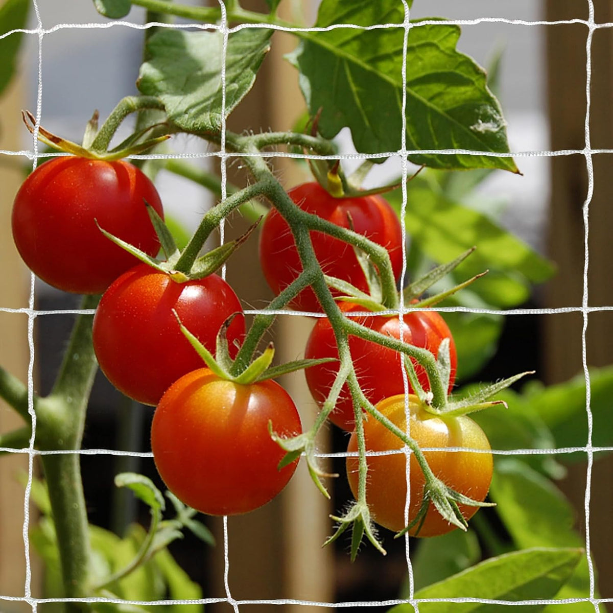Heavy-Duty Polyester Garden Trellis Netting, 5Ft x15Ft (1 Pack)