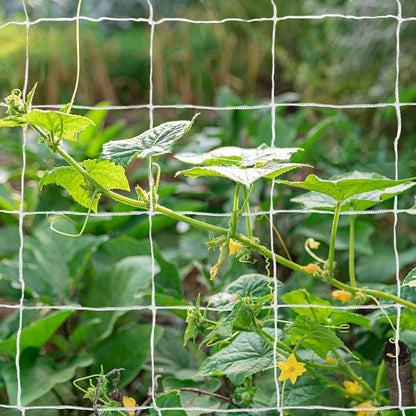 Heavy-Duty Polyester Garden Trellis Netting, 5Ft x15Ft (1 Pack)
