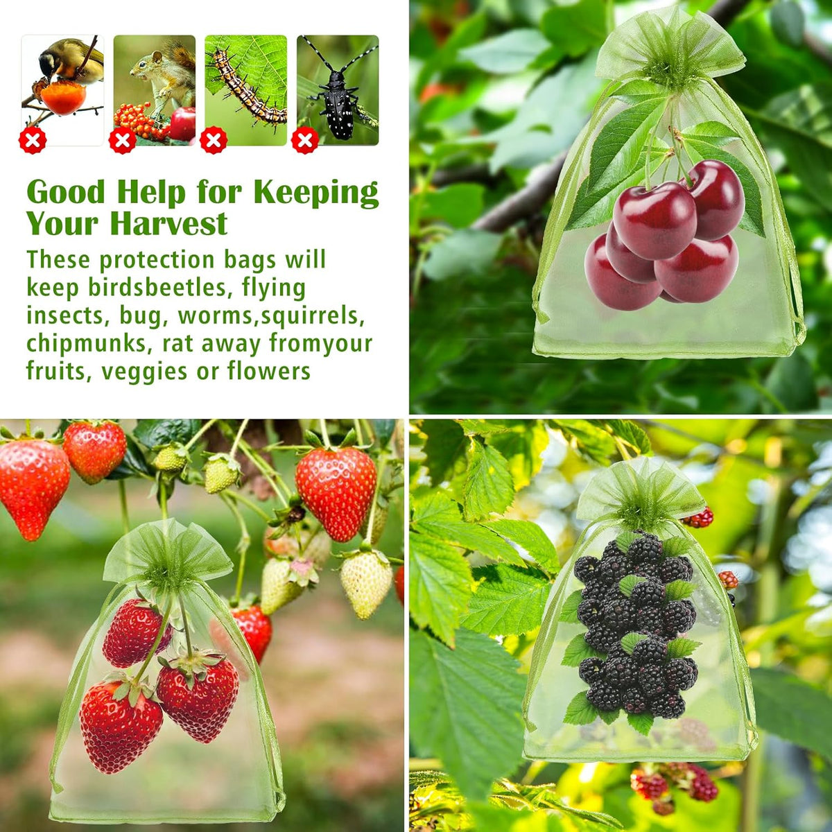 50 PCS 4X6 inches Fruit Protection Bags, Fruit Bags for Fruit Trees