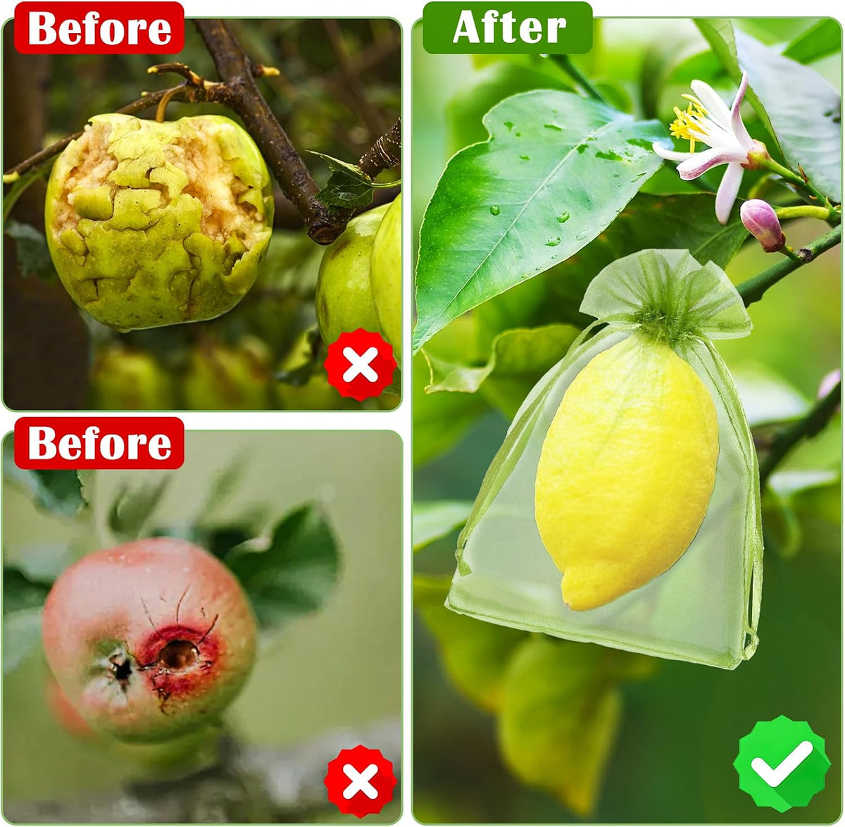 50 PCS 4X6 inches Fruit Protection Bags, Fruit Bags for Fruit Trees