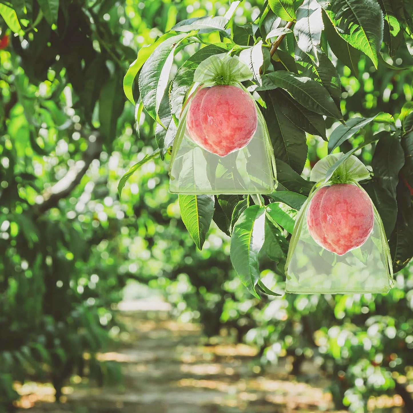 50 PCS 4X6 inches Fruit Protection Bags, Fruit Bags for Fruit Trees