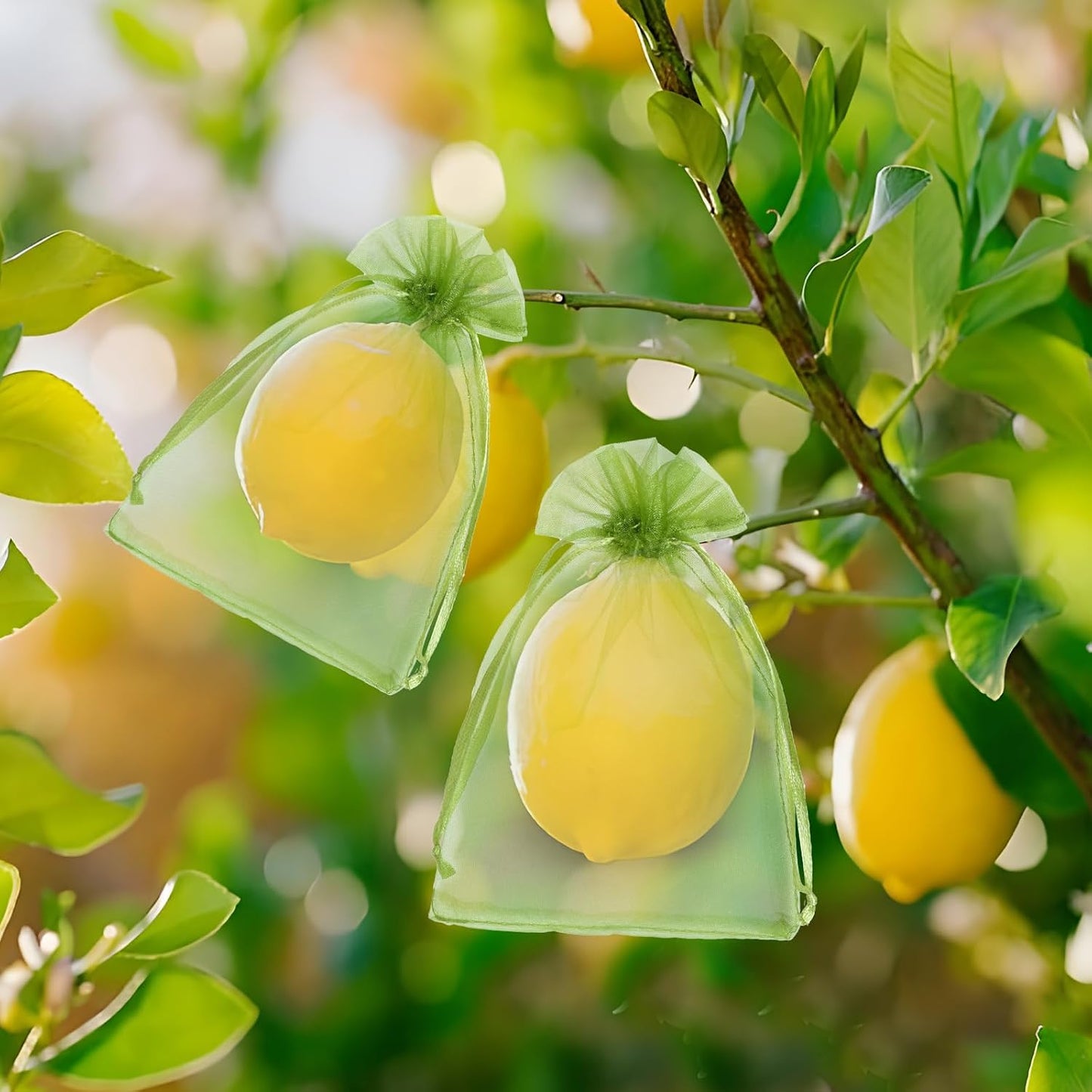 50 PCS 4X6 inches Fruit Protection Bags, Fruit Bags for Fruit Trees